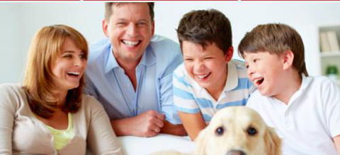 Sandy Straits Pest Control - Internet Find 6