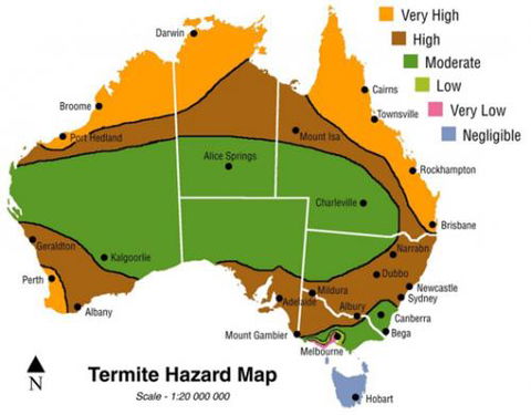 Flexible Termite Solutions - Internet Find 0