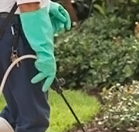 Tropical Pest Control - Internet Find