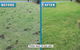 Active Pest Management - thumb 2