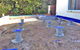 Active Pest Management - thumb 14