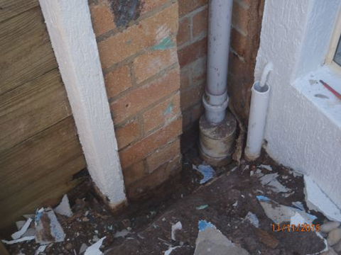 Active Pest Management - Internet Find 16