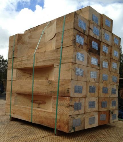 Platypus Timbers - Internet Find 1
