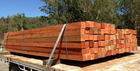 Platypus Timbers - Internet Find 2