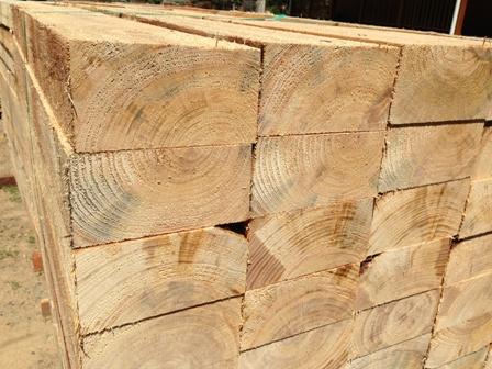Platypus Timbers - Internet Find 3