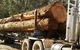 Eungella Sawmill - thumb 0