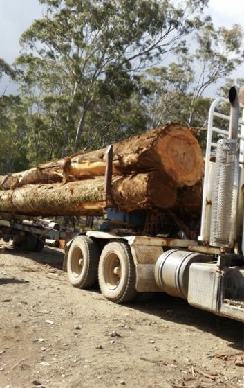 Eungella Sawmill - Internet Find 0