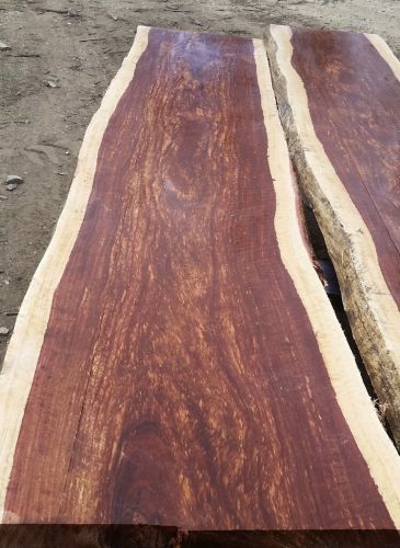 Eungella Sawmill - Internet Find 2