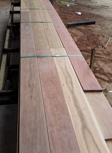 Eungella Sawmill - Internet Find 5
