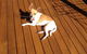 Nth Coast Timber Pty Ltd - thumb 1