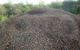 NQ Waste Solutions Pty Ltd - thumb 2