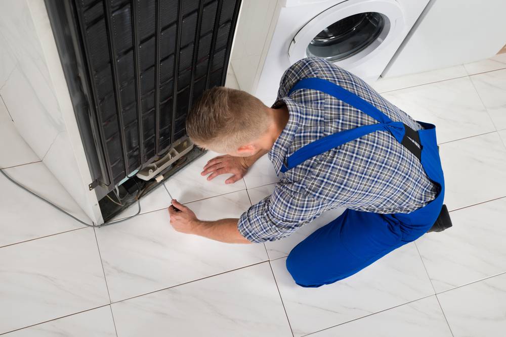 Carpet Dyeing Vinyl Repairs Internet Find