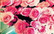 Amoré Wedding Stylists & Decorators - thumb 0