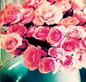 Amor Wedding Stylists  Decorators - Internet Find