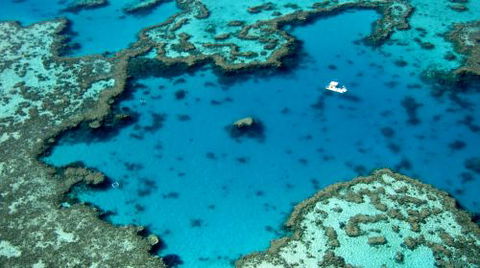 Air Whitsunday Sea Planes - Internet Find 1