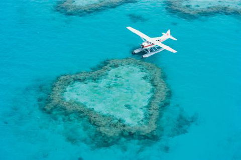 Air Whitsunday Sea Planes - Internet Find 3