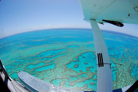 Air Whitsunday Sea Planes - Internet Find 4
