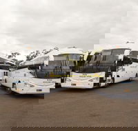 Buslink VIVO - Internet Find