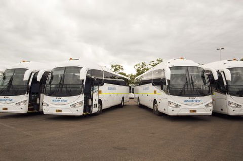 Buslink VIVO - Internet Find 0