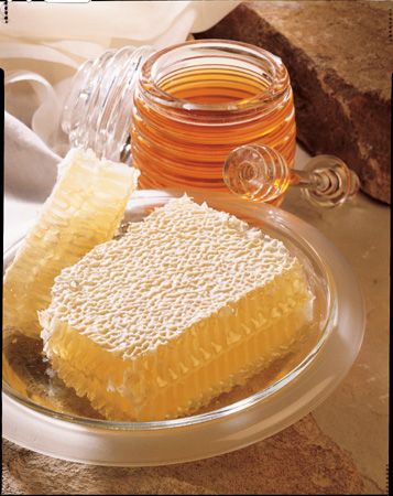 The Honey Place - Internet Find 1