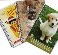 Gainsborough Graphics - Internet Find