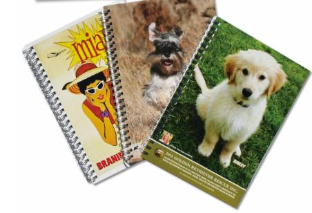 Gainsborough Graphics - Internet Find 0