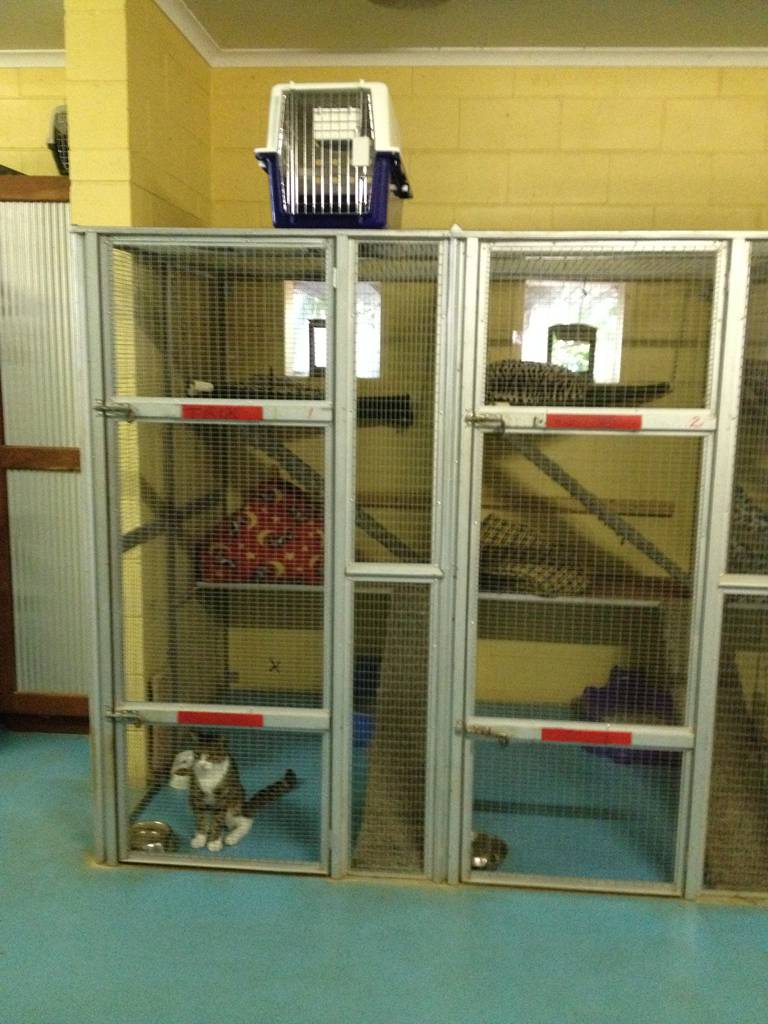 Dog Boarding Kennels Howard Springs NT Internet Find