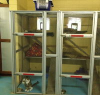Purrs  Paws Pet ResortNT Agent For Ozpet Transport - Internet Find