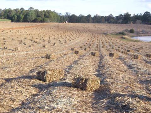 Fencing Supplies Internet Find
