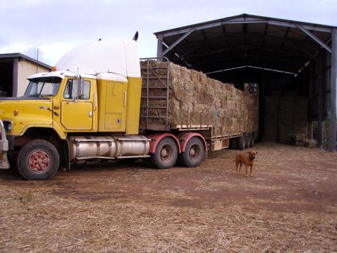 R G Downman - Internet Find 1