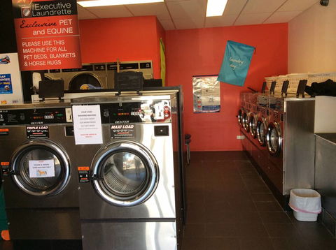 Executive Laundrette - Internet Find 0