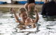 Marlins Swim School - thumb 2