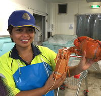 Mackay Fish Market - Internet Find