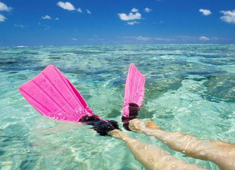 Port Macquarie Travel - Internet Find 1