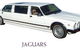 Leisure Coast Limousine Service - thumb 2