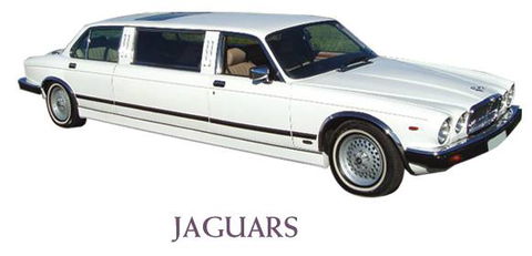 Leisure Coast Limousine Service - Internet Find 2