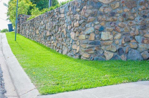 Hamilton Plains Turf - Internet Find 1