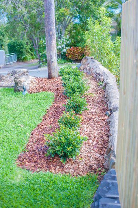 Hamilton Plains Turf - Internet Find 2