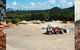 Plants Whitsunday - thumb 1