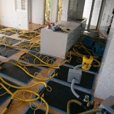 Revive Cleaning And Restoration - Internet Find 0