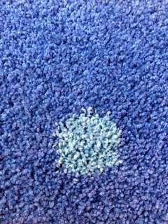 Carpet Cleaning Bowral NSW Internet Find