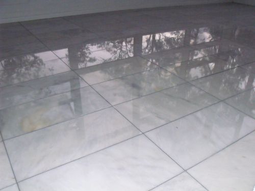 Tree Stump Removal Gympie QLD Internet Find