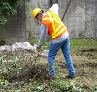 Total Vegetation Management - Internet Find