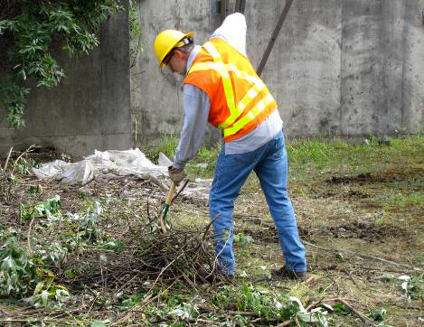 Total Vegetation Management - Internet Find 0