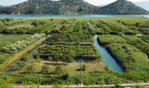 Total Vegetation Management - Internet Find 1