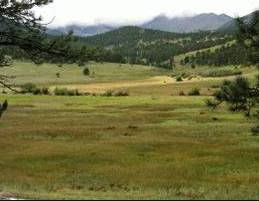 Total Vegetation Management - Internet Find 3