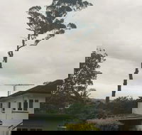 McCords Tree Services  Excavations - Internet Find