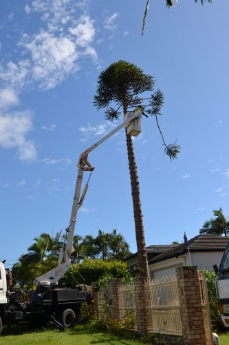 McCords Tree Services & Excavations - Internet Find 5