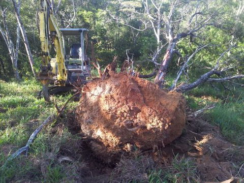 McCords Tree Services & Excavations - Internet Find 7