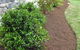 Cessnock Landscaping Supplies - thumb 1